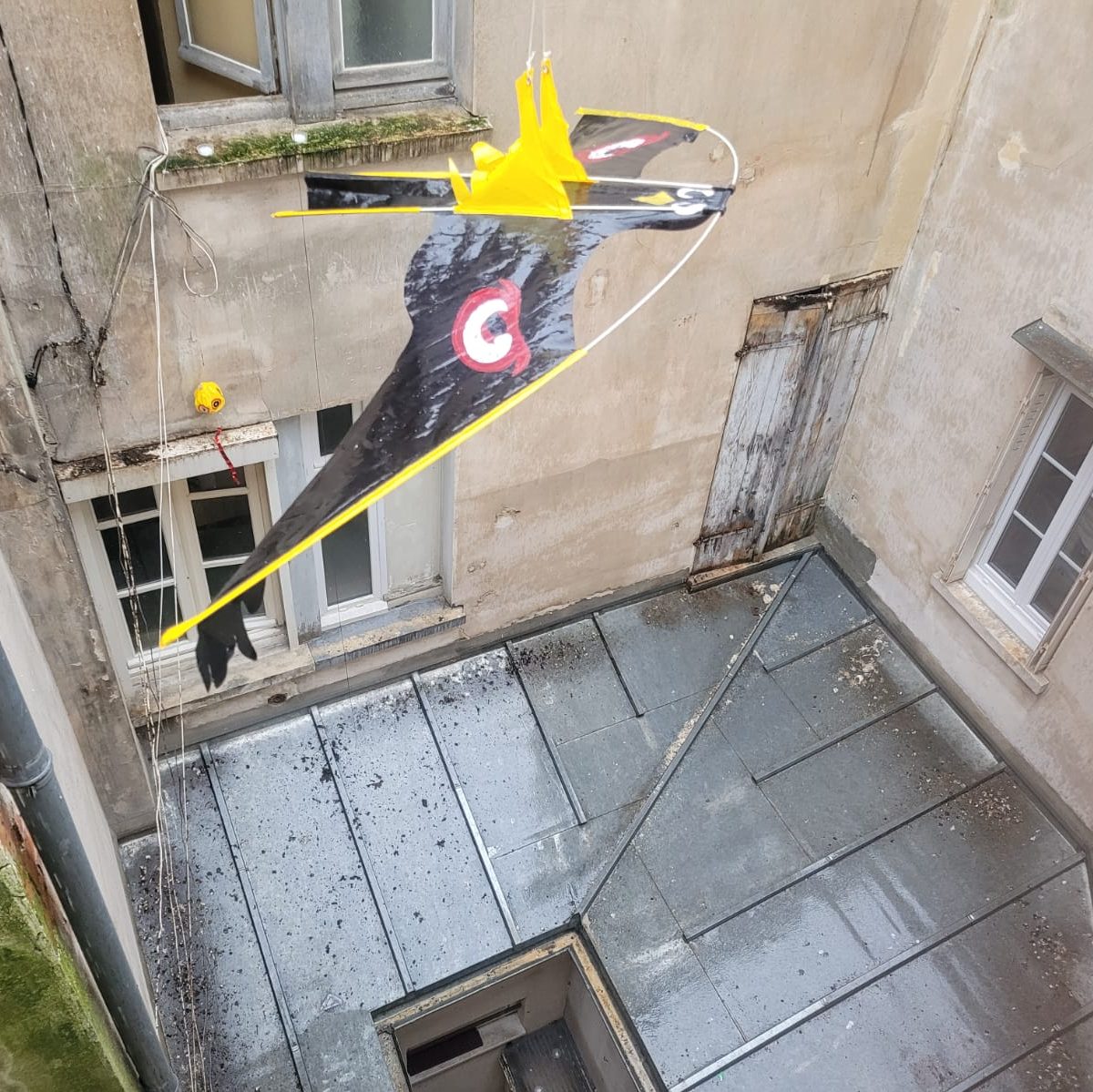 Pigeons effaroucheurs Essonne