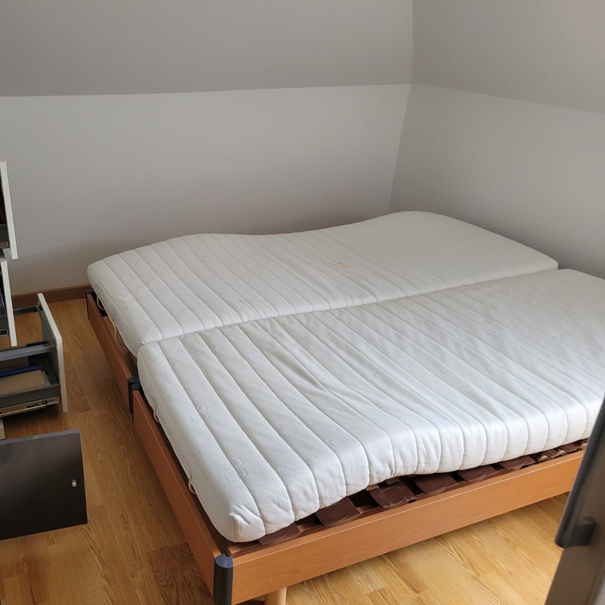 Punaises de lit traitement