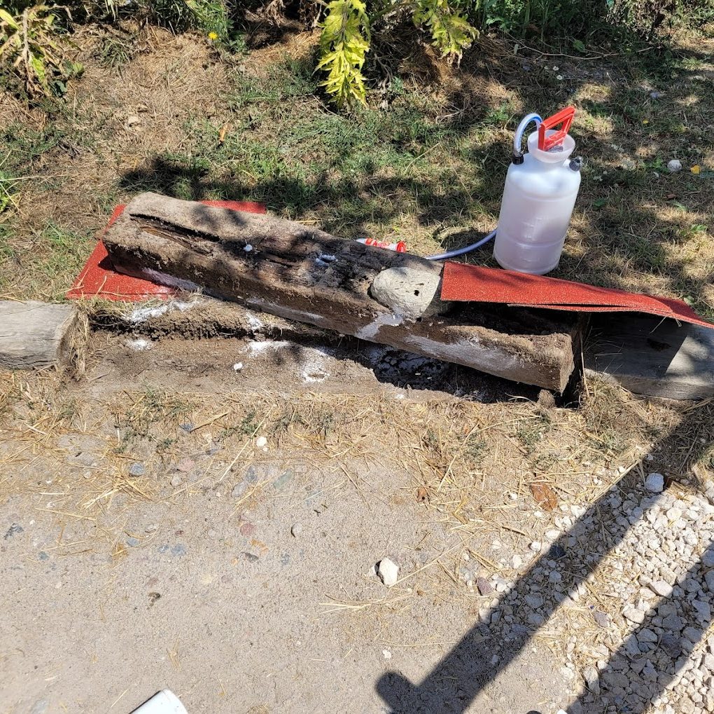 Blattes cafards traitement Essonne